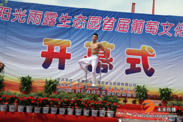 JJB竞技宝移动端微商城手机版远程运营控制中心图片