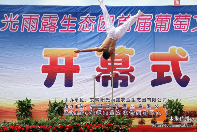 JJB竞技宝全站经销商管理平台注册与资质审核入口图片